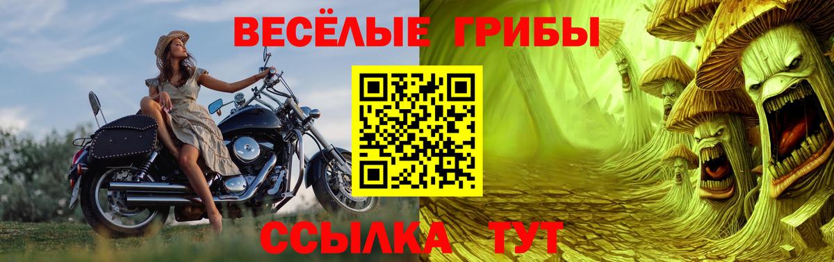 Арсеньев  Галлюциногенные грибы Psilocybine cubensis  Вход с VPN 