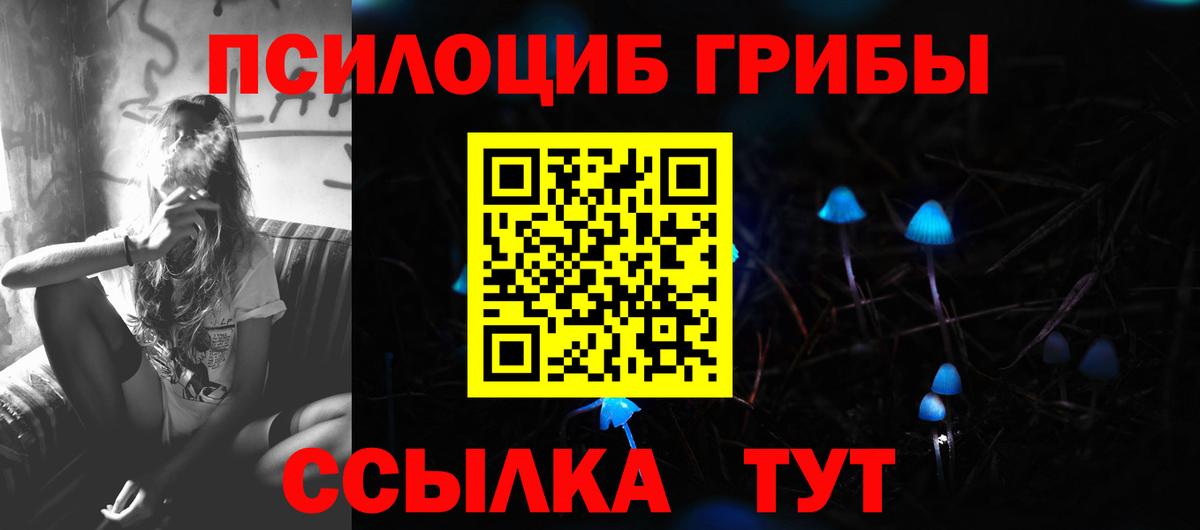 Псилоцибиновые грибы Psilocybe Арсеньев